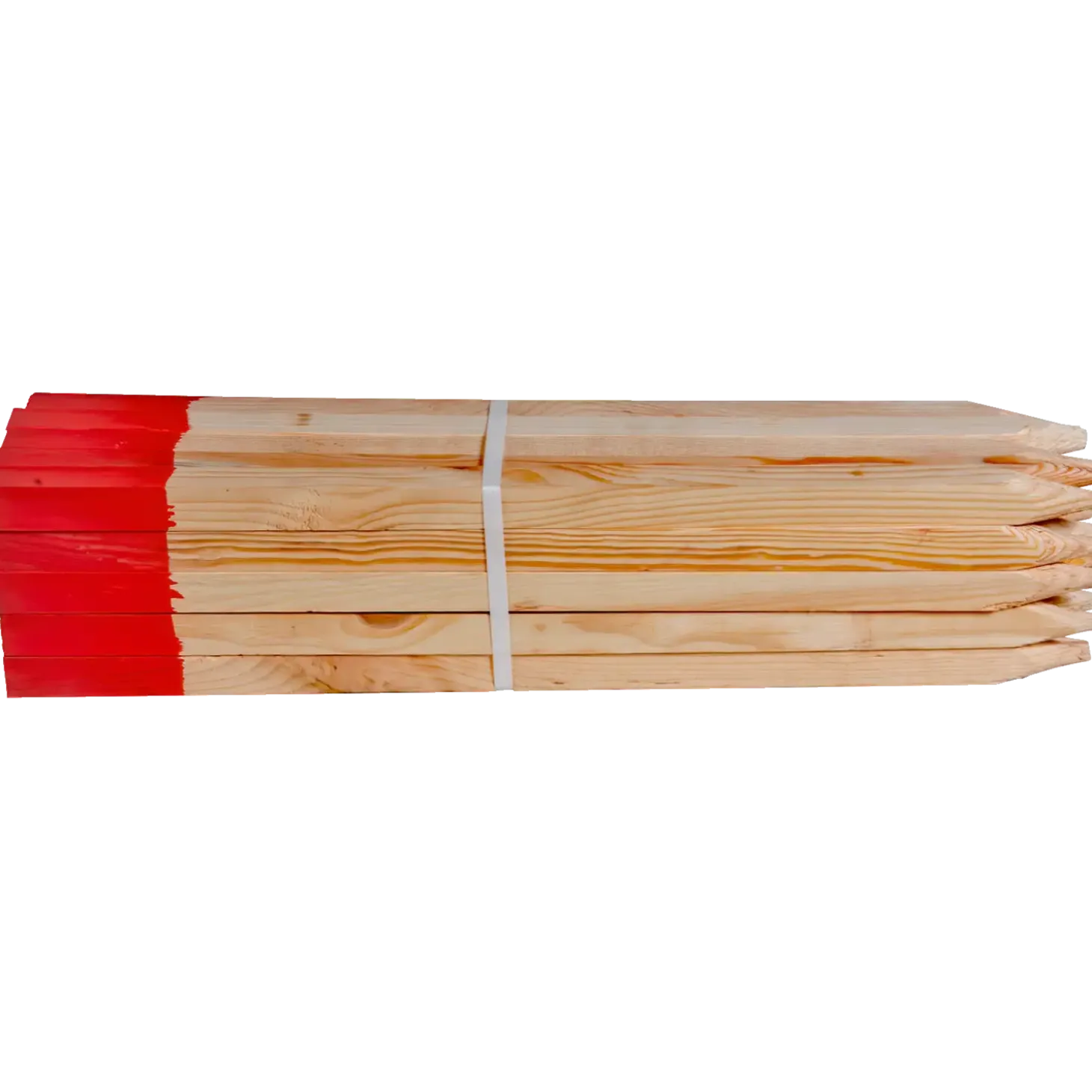 Afsætningspæle m/rød top Ø25x600 mm
