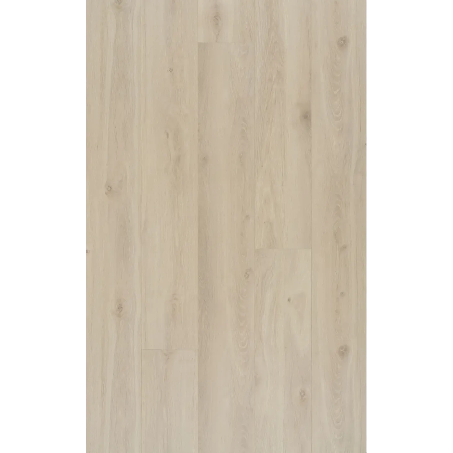 BerryAlloc Ocean 8 XL laminatgulv 8x241x2038 mm bloom sand natur