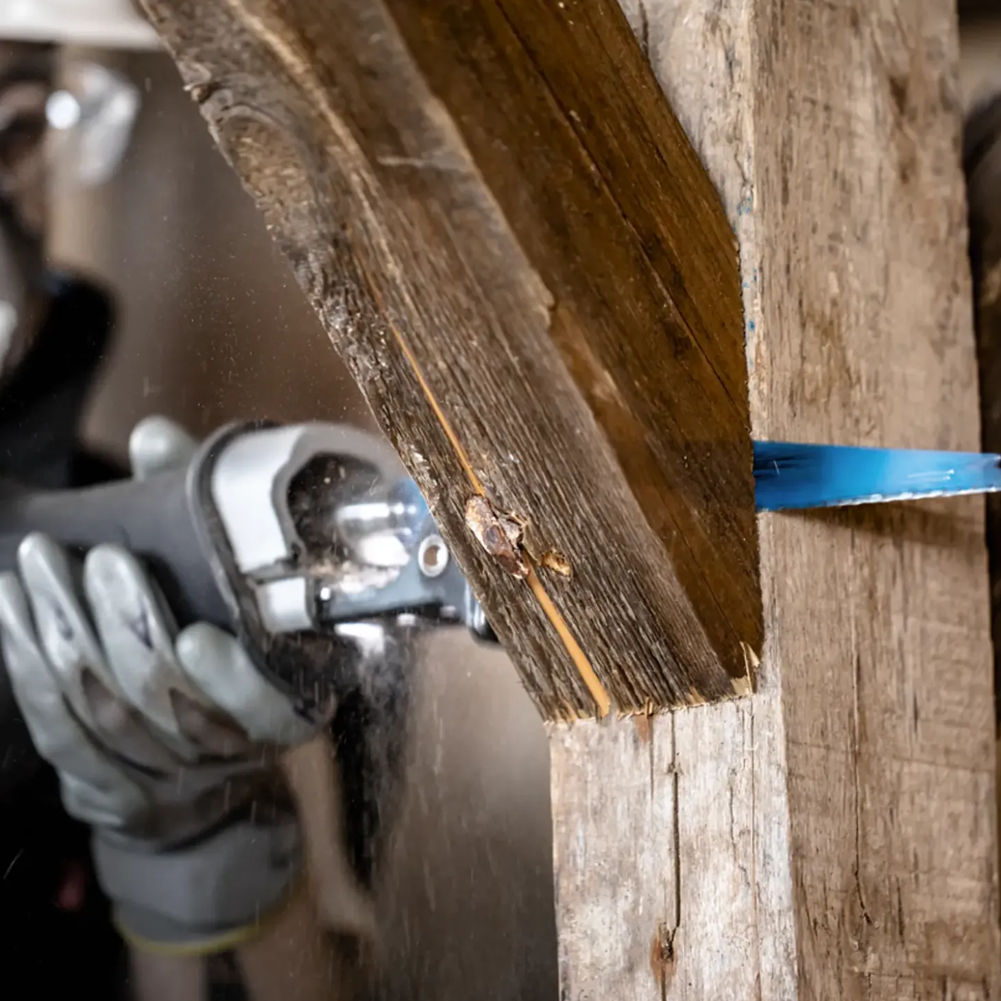 Bosch Expert 1267 XHM bajonetsavklinge wood with metal demolition 300 mm