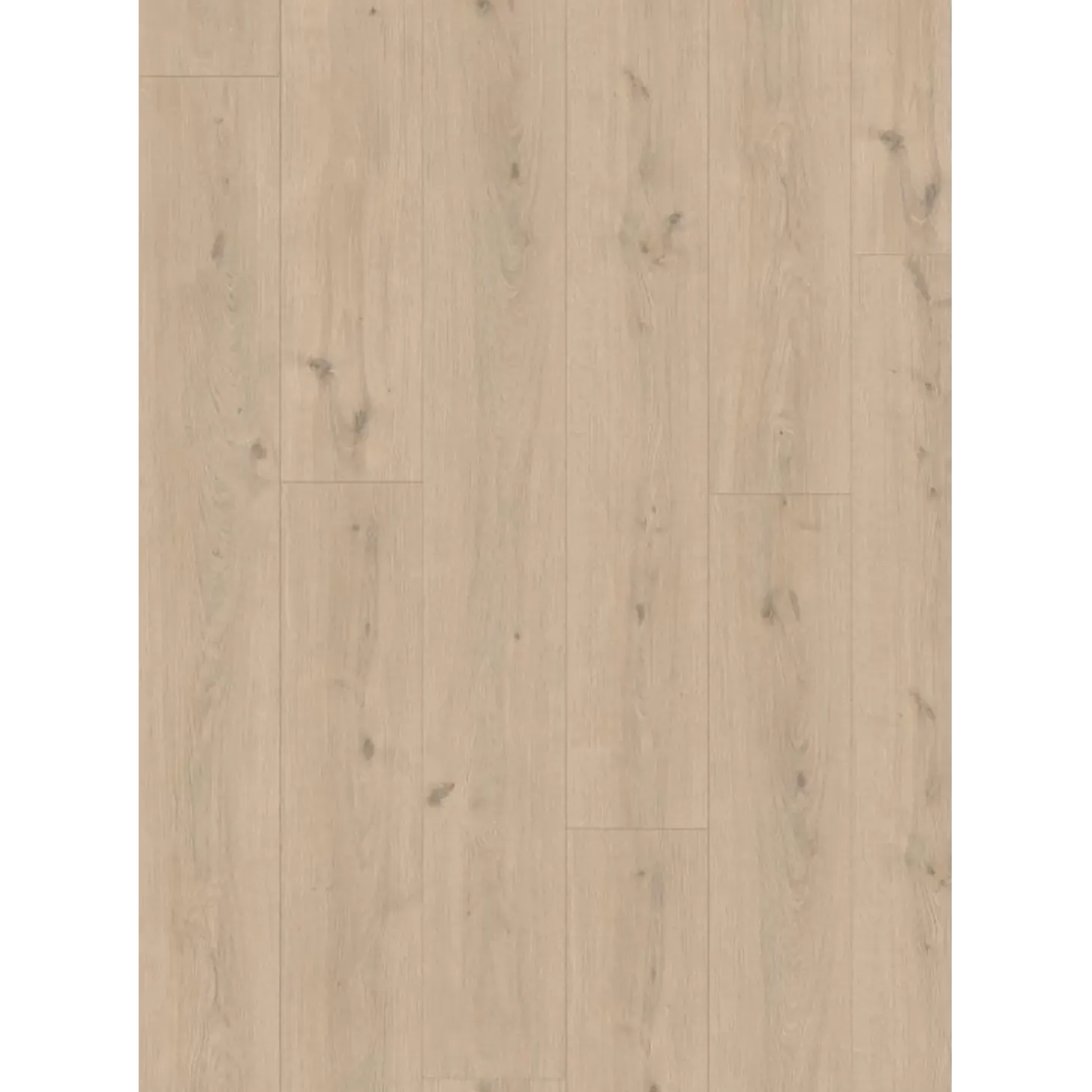 Cello Wien Creme AQUA XL 10 mm laminatgulv 10x246x2050 mm