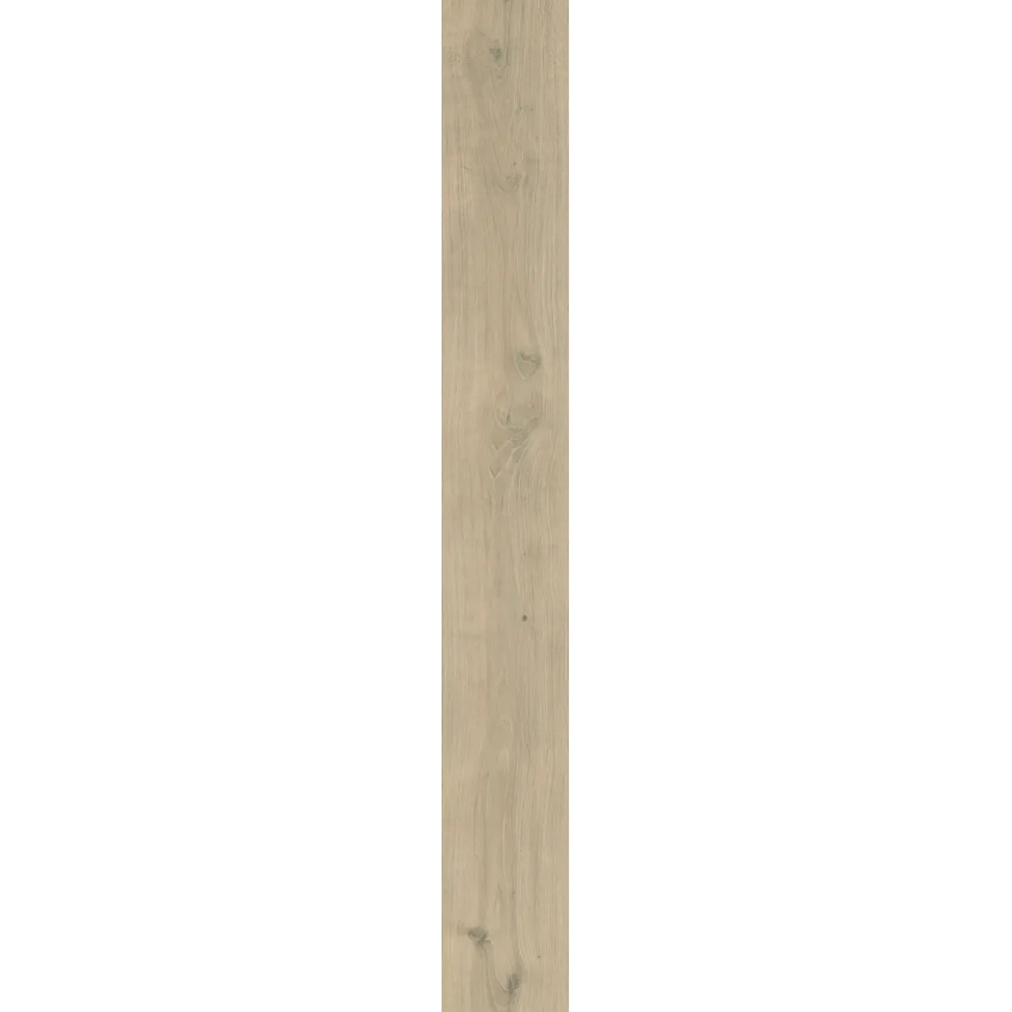 Cello Wien Creme AQUA XL 10 mm laminatgulv 10x246x2050 mm