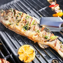 Char-Broil Gas2Coal Special Edition 4 - hybridgrill (gasgrill/kulgrill) med 4 brændere