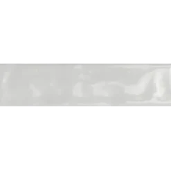 Color Trend Pearl Glossy - Fliseprøve