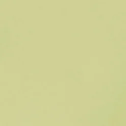 Conteco ONE 2,5 kg 44 Lime