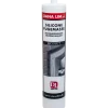 Dana budget silicone 576, 300 ml transparent