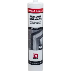 Dana budget silicone 576, 300 ml transparent