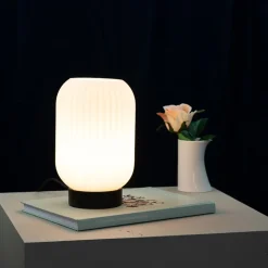 Dyberg Larsen riflet bordlampe E27 opal