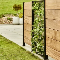 Elmholm espalier startsæt 95 cm