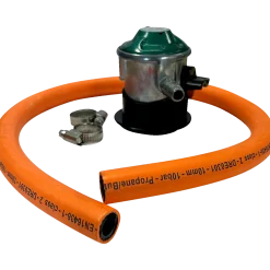 Everdure Furnace gasgrill mint