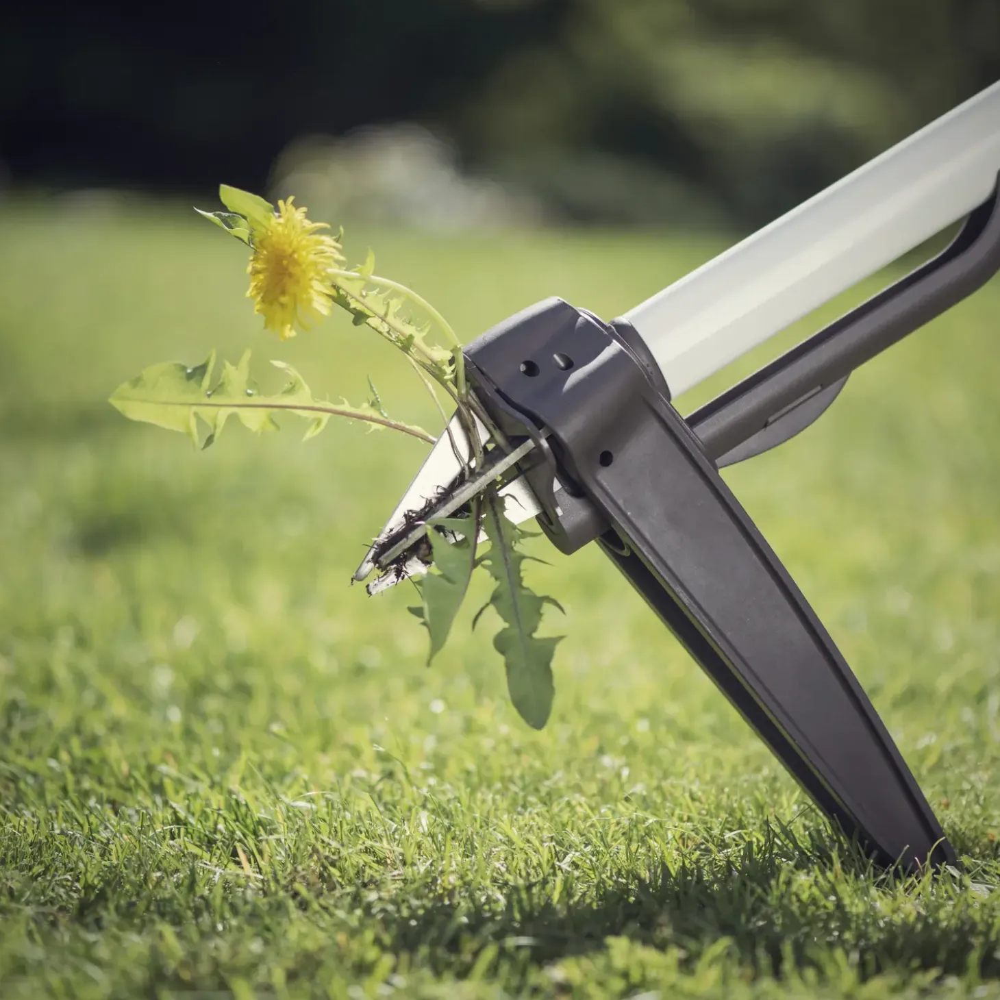 Fiskars classic mælkebøttejern 40 cm