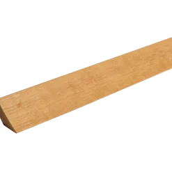 FT Fejeliste Fyr Eg Lakeret L424 15x21x1200 mm