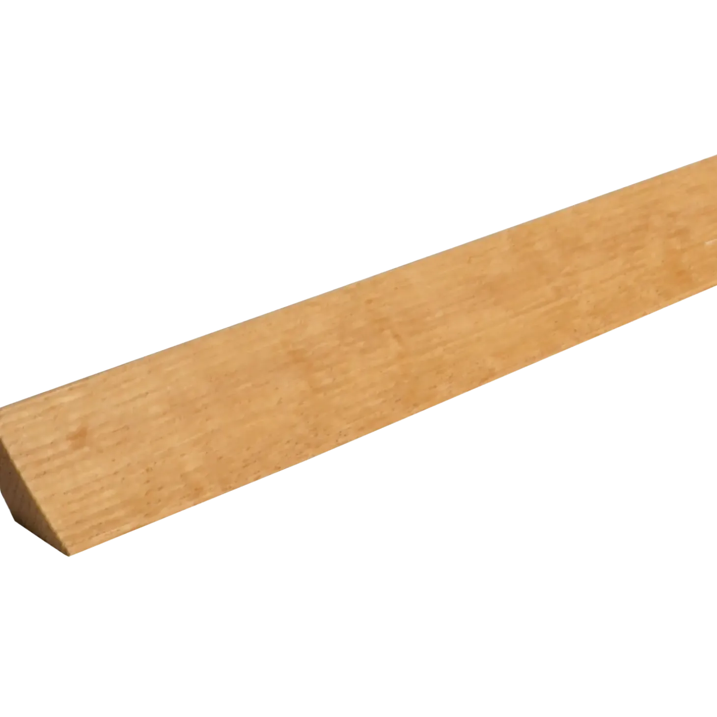 FT Fejeliste Fyr Eg Lakeret L424 15x21x1200 mm