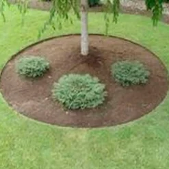 Grouw græskant 15 cm x 9 m grøn