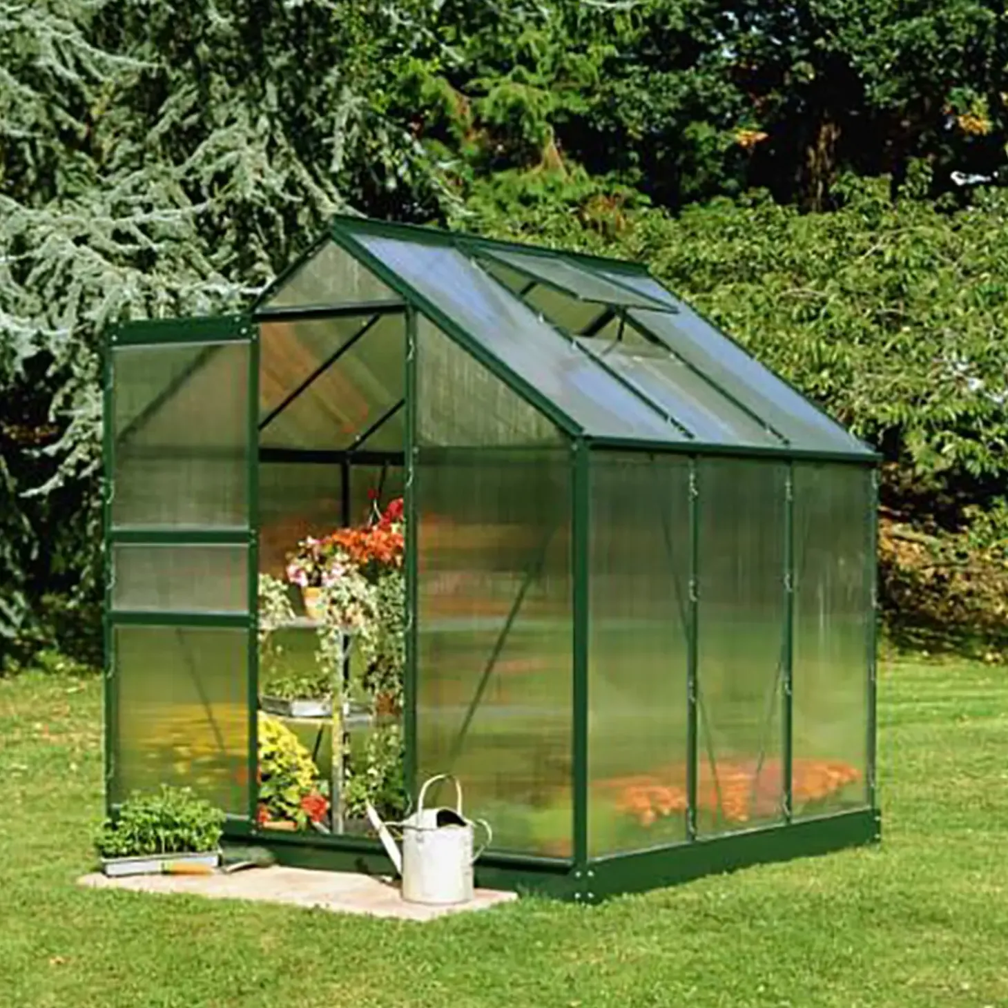 Halls Popular 66 3,8 m² grøn 4 mm poly