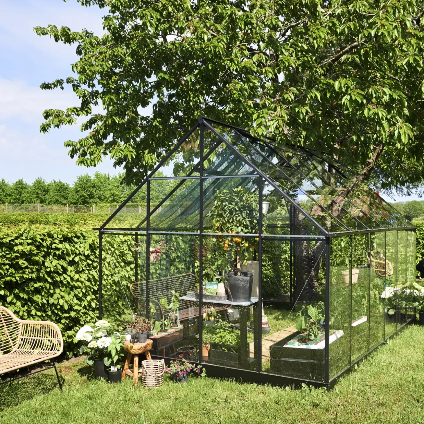 Halls Qube+ 812 drivhus sort med hærdet glas, 9,9 m²
