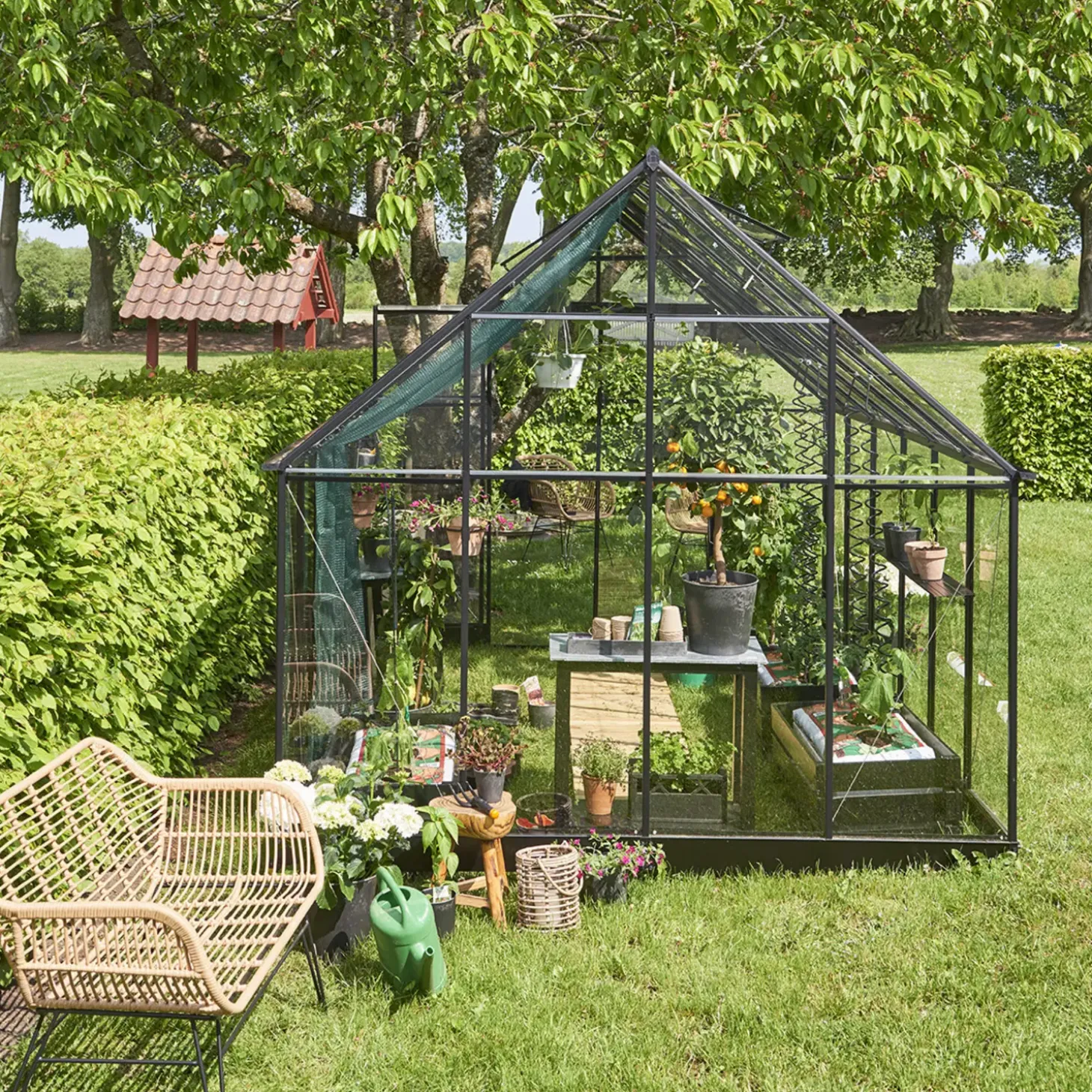 Halls Qube+ 812 drivhus sort med hærdet glas, 9,9 m²