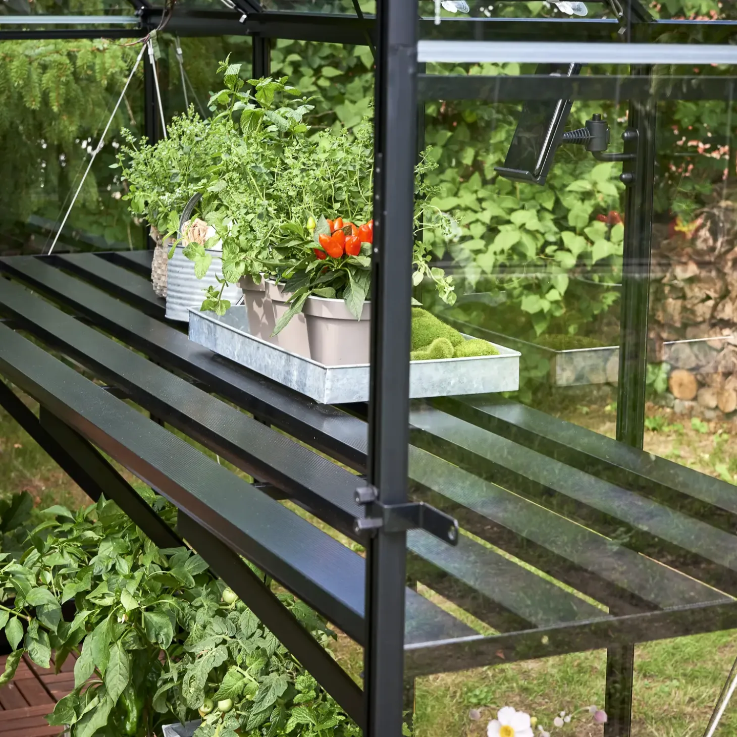 Halls Qube 68 drivhus sort med hærdet glas 5,1 m²
