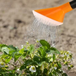 HOME It® brusehoved til vandkande 10 liter