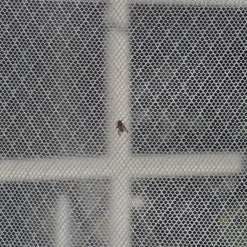 Insektnet hvid, 120 cm x 10 m