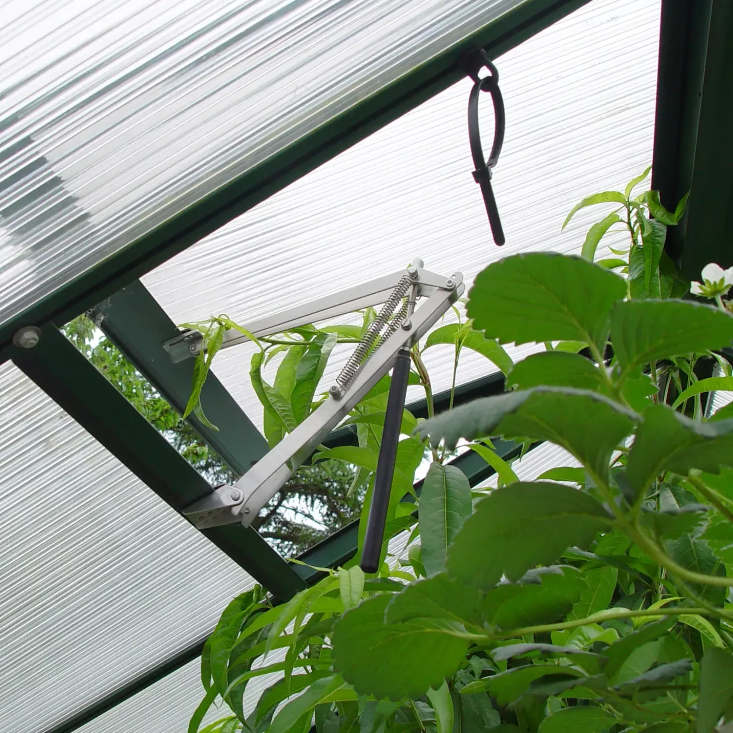 Juliana Compact drivhus alu. og sort med polycarbonat 6,6 m²