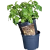 Kartoffelpotte12 ltr. sort