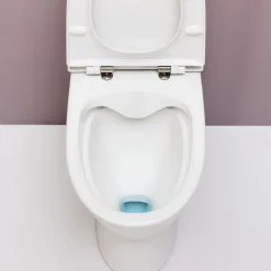 Laufen Pro-N toilet m/skjult S-lås hvid