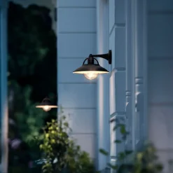 Philips Cormorant udendørs væglampe sort