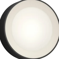 Philips Hue Daylo udendørs væglampe 15W sort