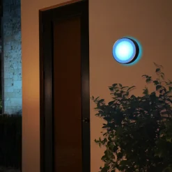 Philips Hue Daylo udendørs væglampe 15W sort