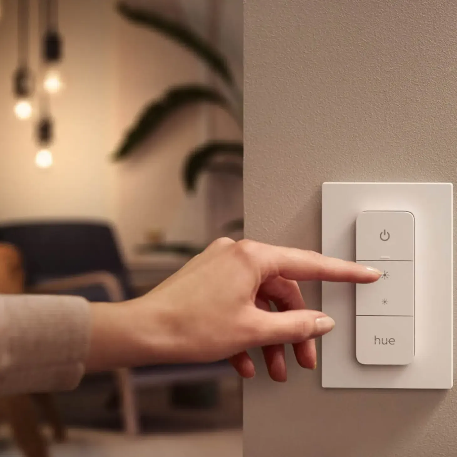 Philips Hue Dimmer Switch