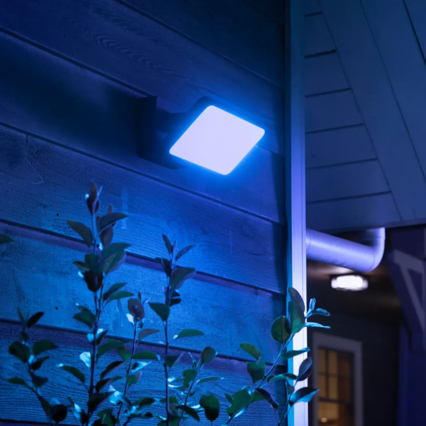 Philips Hue Discover udendørs projektør LED