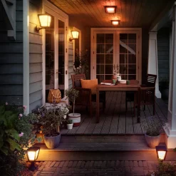 Philips Hue Econic udendørs væglampe sort