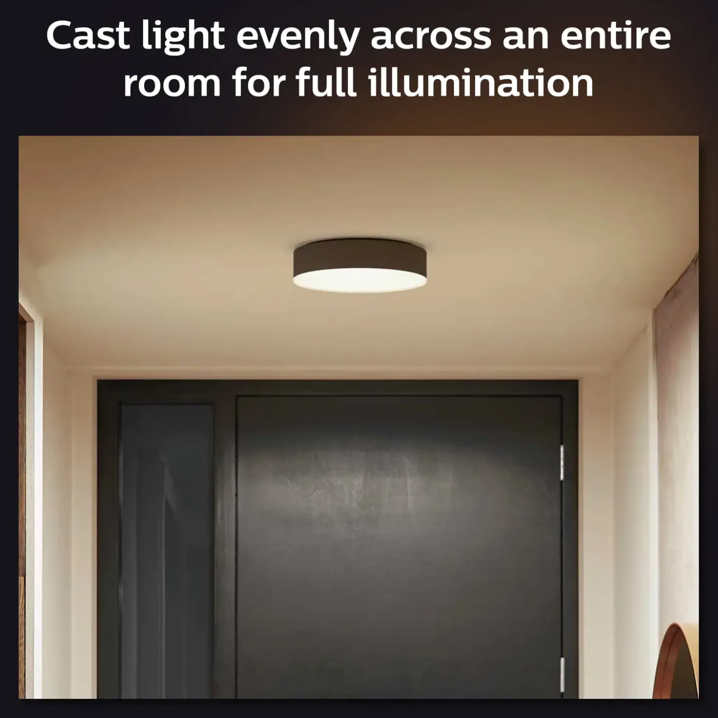 Philips Hue Enrave M plafond Ø38,1 cm 19,2W sort