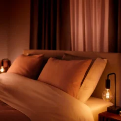 Philips Hue LED globe pære E27 7W G93 filament hvid ambiente