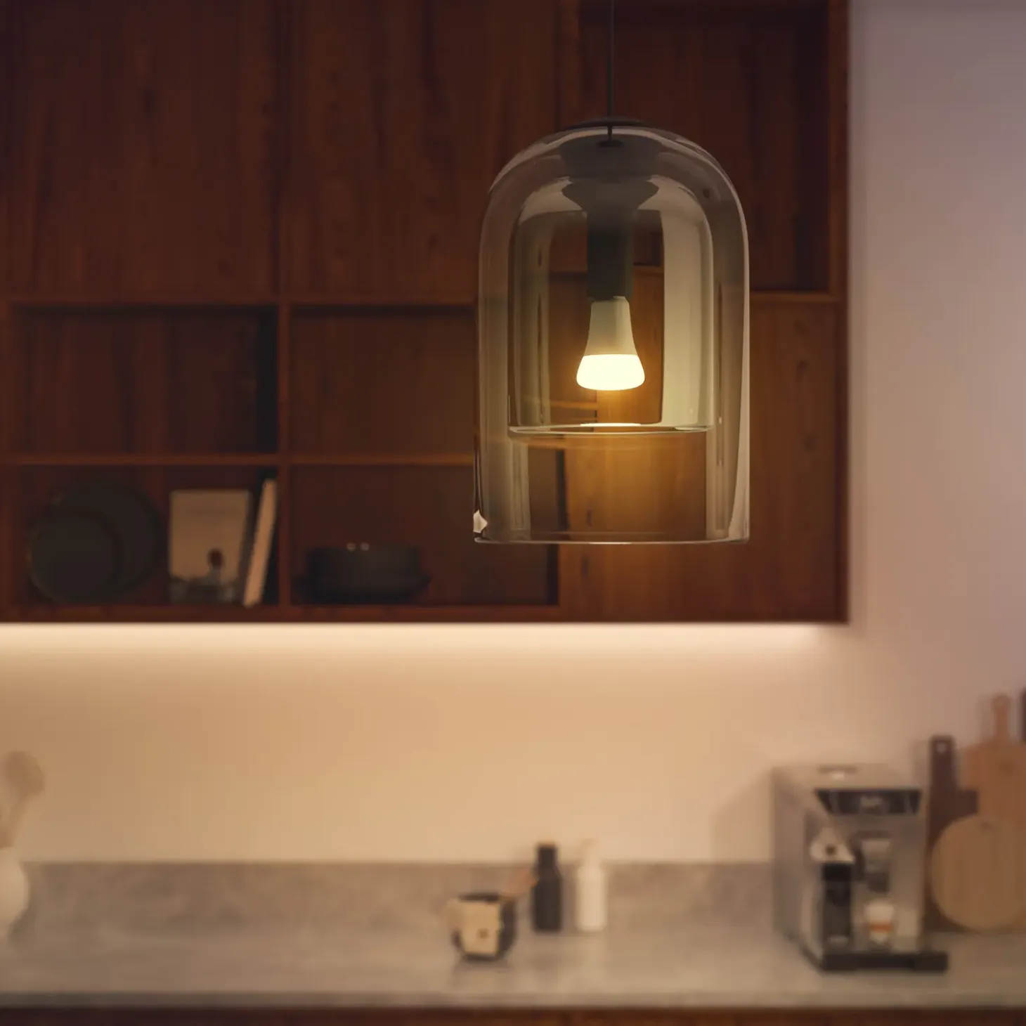 Philips Hue LED pære E27 13W A67 hvid ambiente