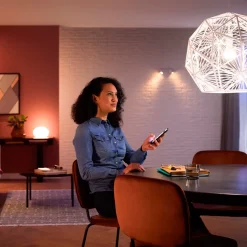 Philips Hue LED pære E27 9,5W A60 hvid LED