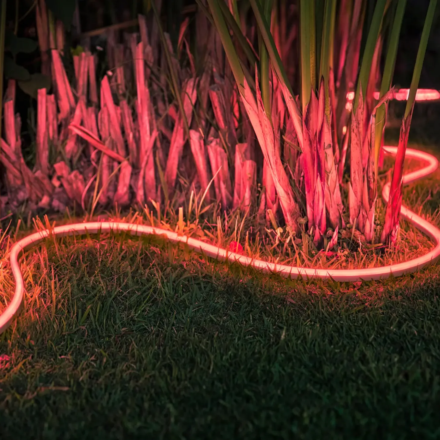 Philips Hue Lightstrip Outdoor 5 meter