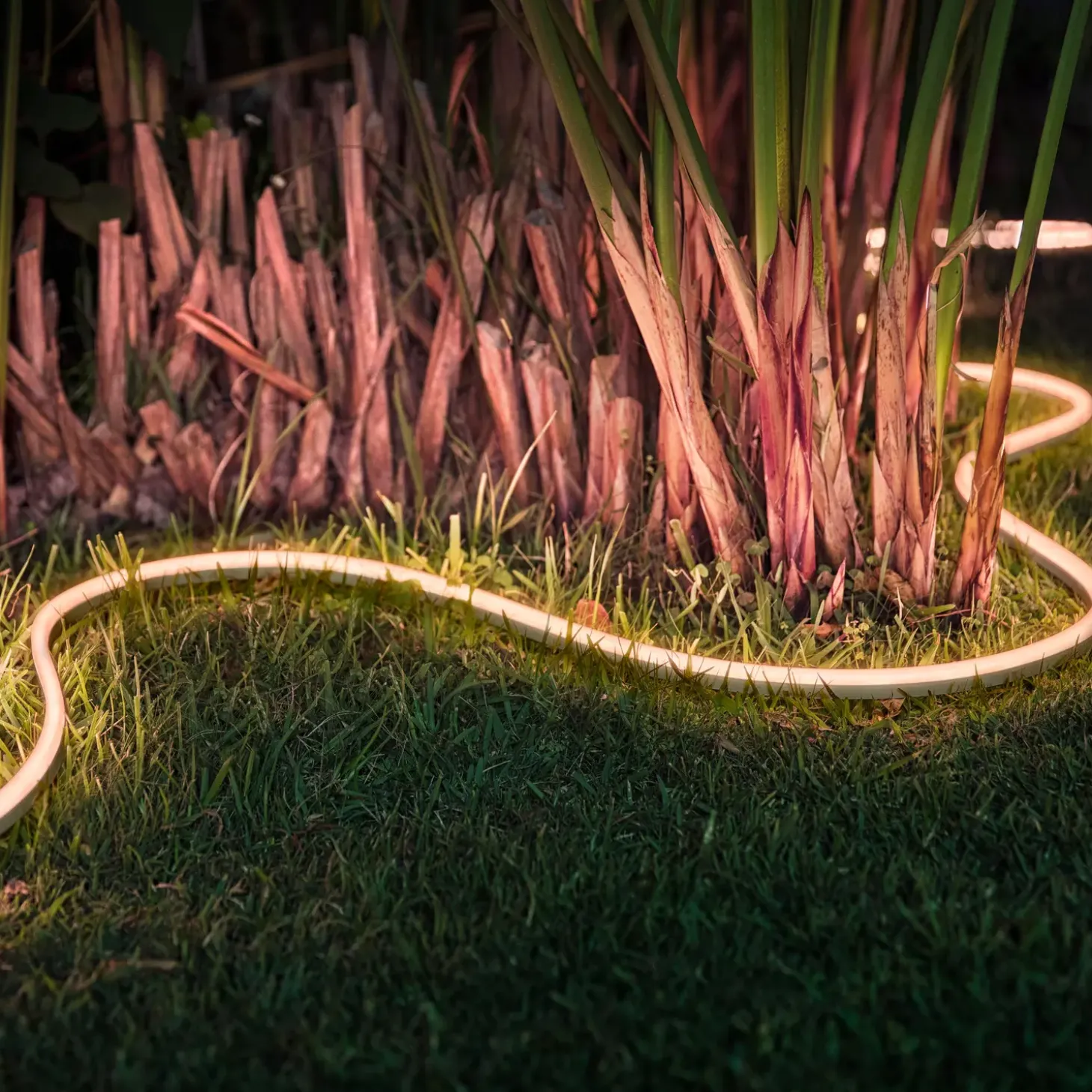 Philips Hue Lightstrip Outdoor 5 meter