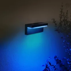 Philips Hue Nyro udendørs væglampe sort