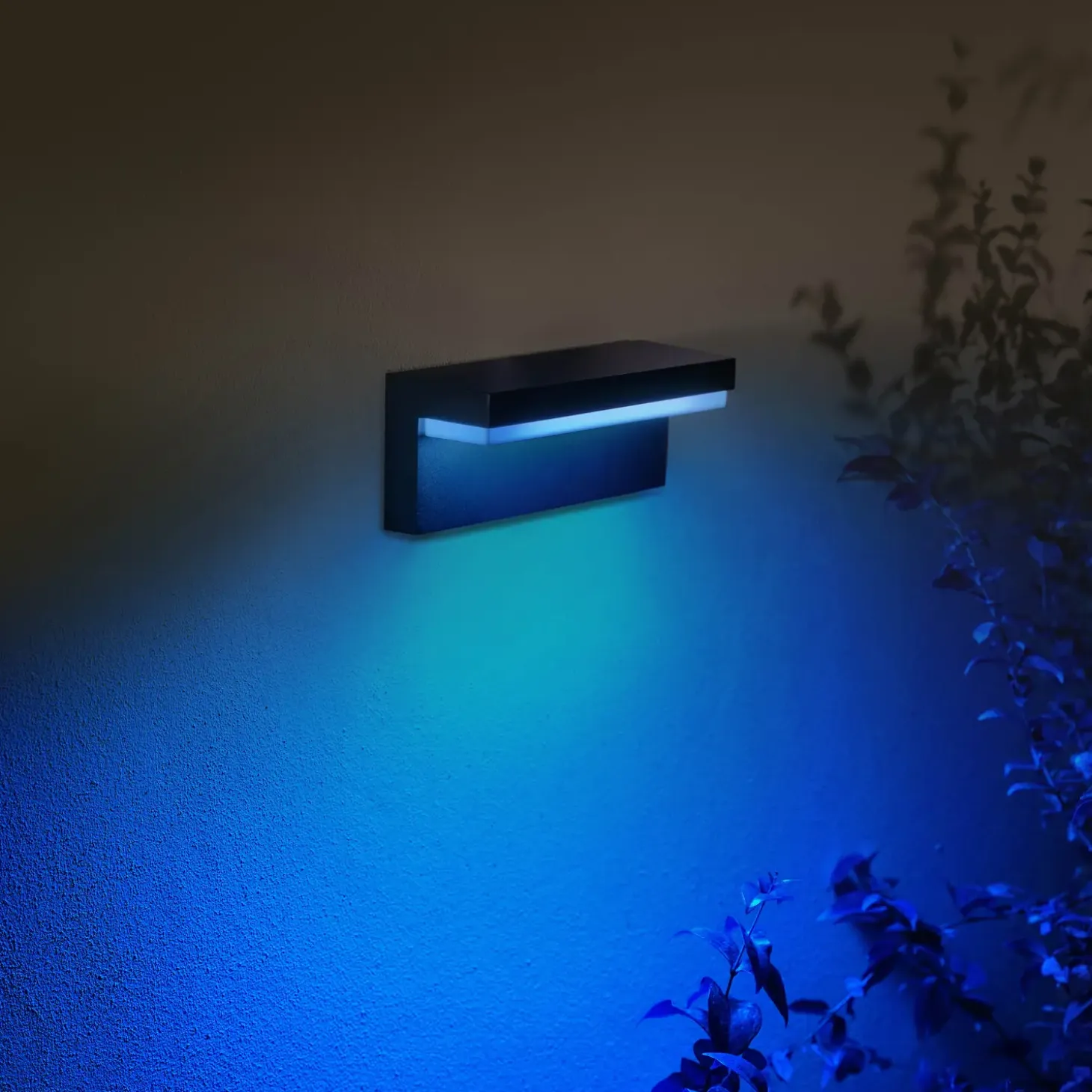 Philips Hue Nyro udendørs væglampe sort