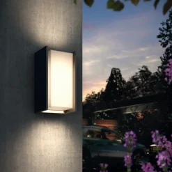Philips Hue Turaco udendørs væglampe antracit