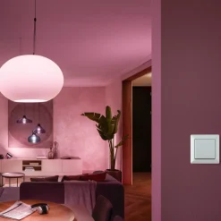 Philips Hue vægkontakt modul hvid