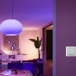 Philips Hue vægkontakt modul hvid
