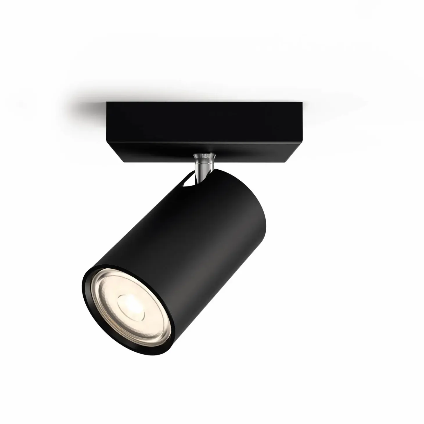 Philips Kosipo spot 1x10W sort