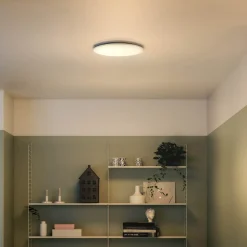 Philips Wawel plafond 17W hvid