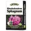 Prima rhododendron sphagnum 50 L