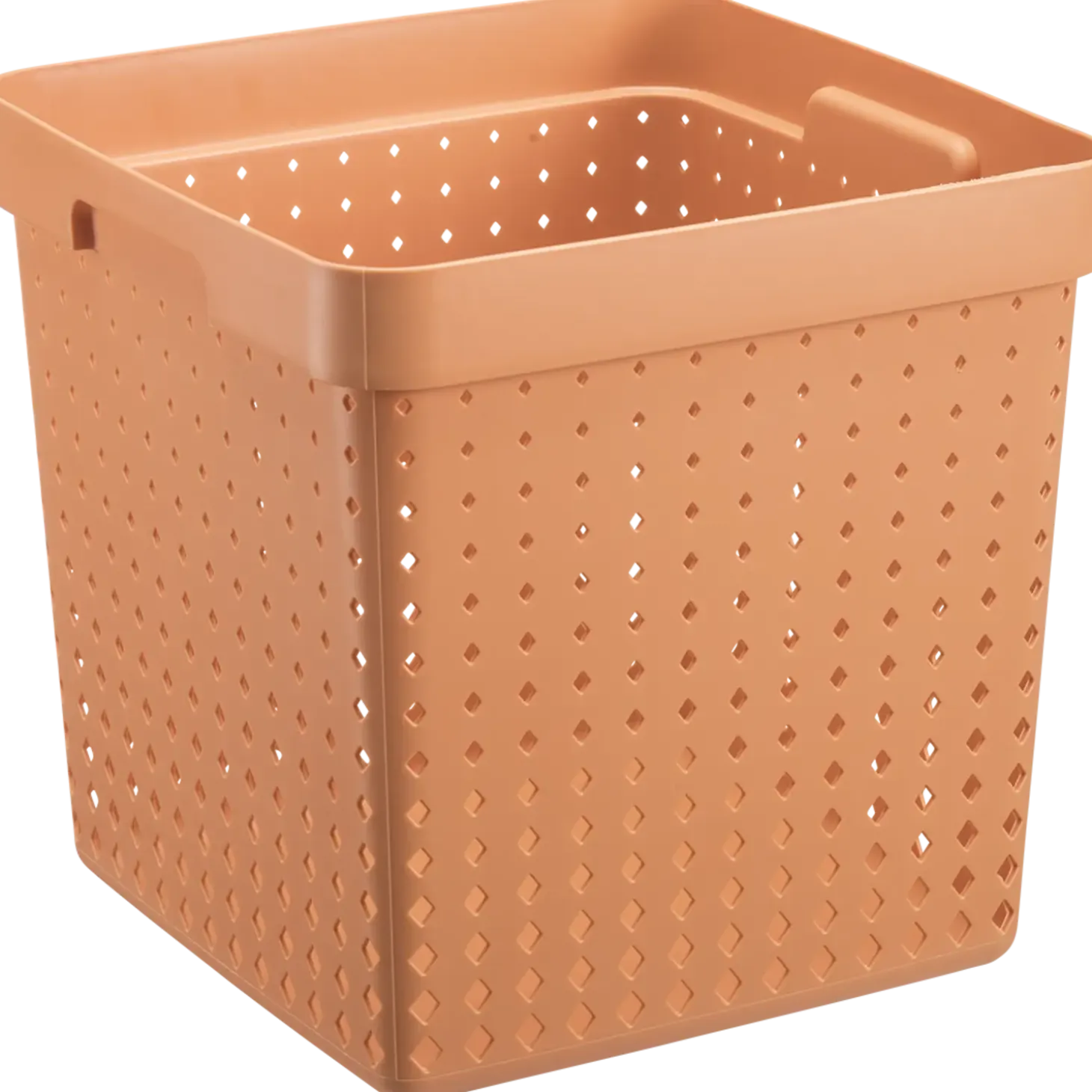 Seoul basket melon S