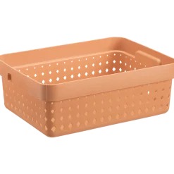 Seoul basket melon S