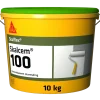 Skalcem 100 cementbaseret murmaling rødokker 10 kg