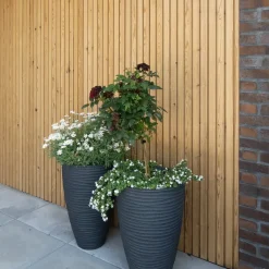 ThermoWood TGUU beklædning børstet 21x117 mm fyr x 3,6 m